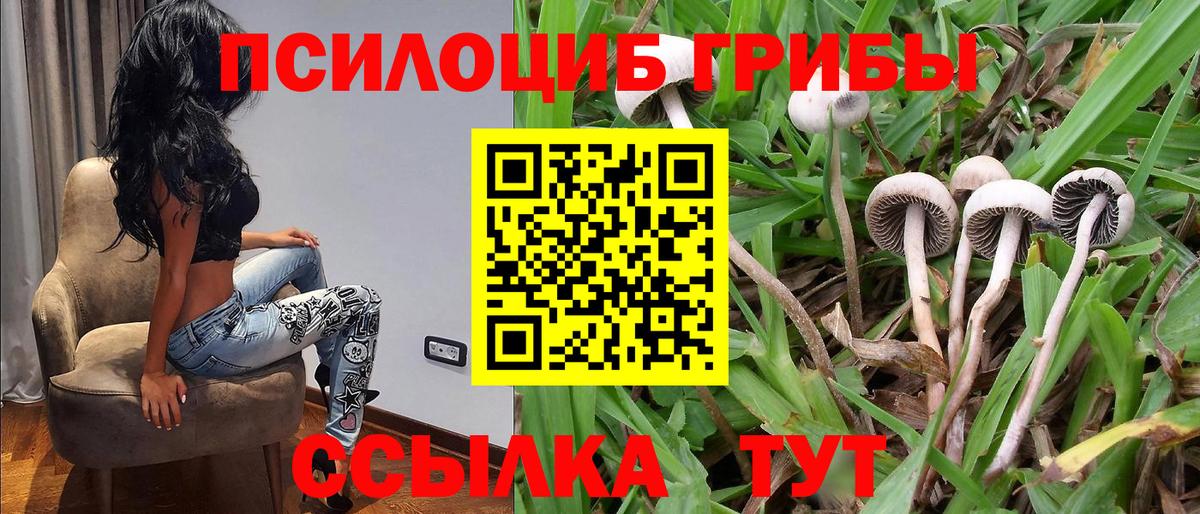 Екатеринбург  Галлюциногенные грибы ЛСД  Вход с VPN 